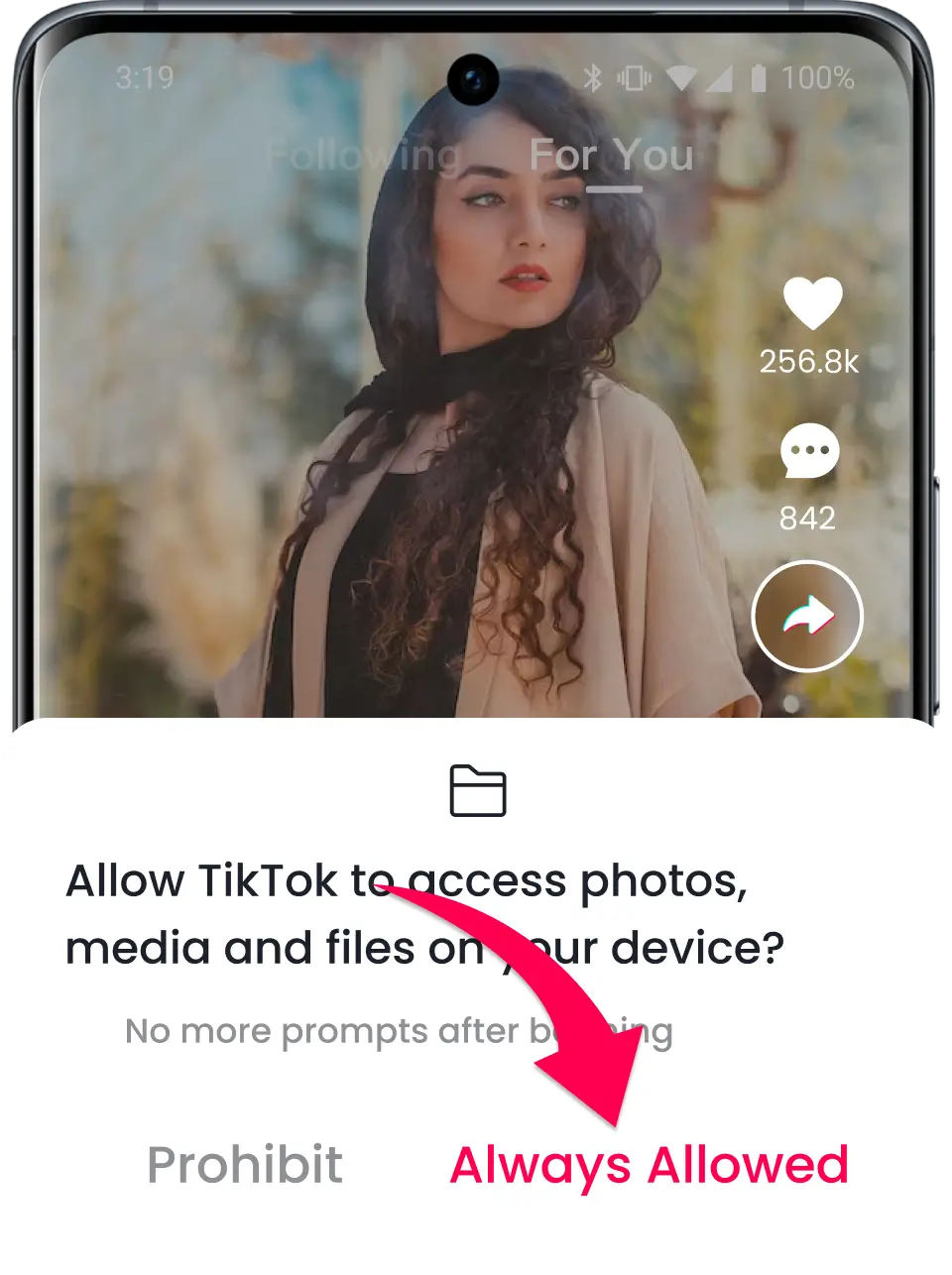 allow TikTok to access your gallery