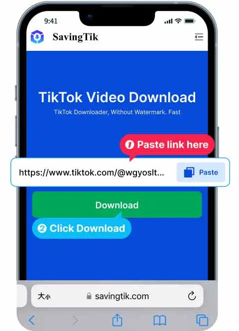 paste TikTok video URL