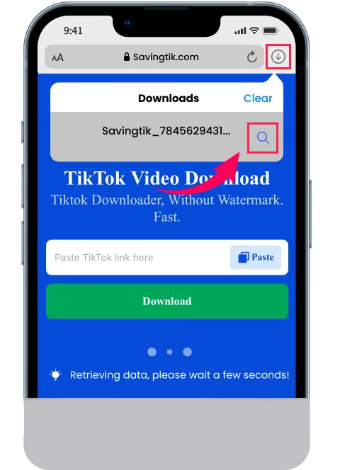 download TikTok video without watermark on iPhone