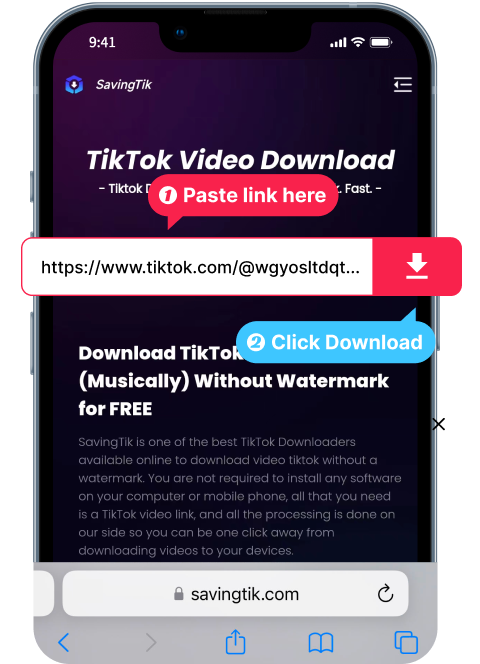 Downloading TikTok Videos on iOS 12