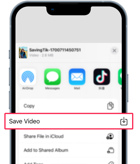 Downloading TikTok Videos on iOS 12